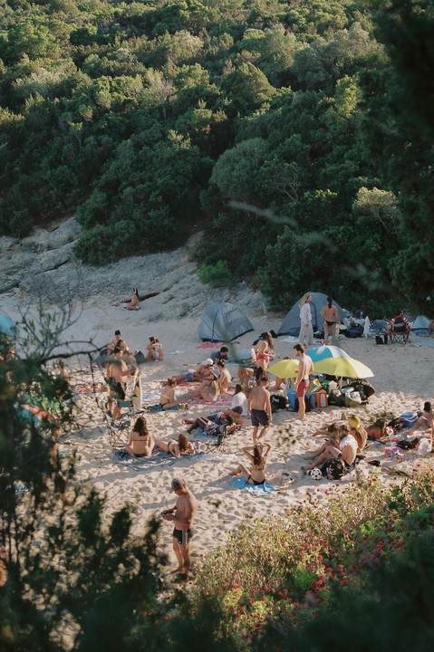 A large group of people are relaxing on a sandy beach with green trees and bushes in the background.