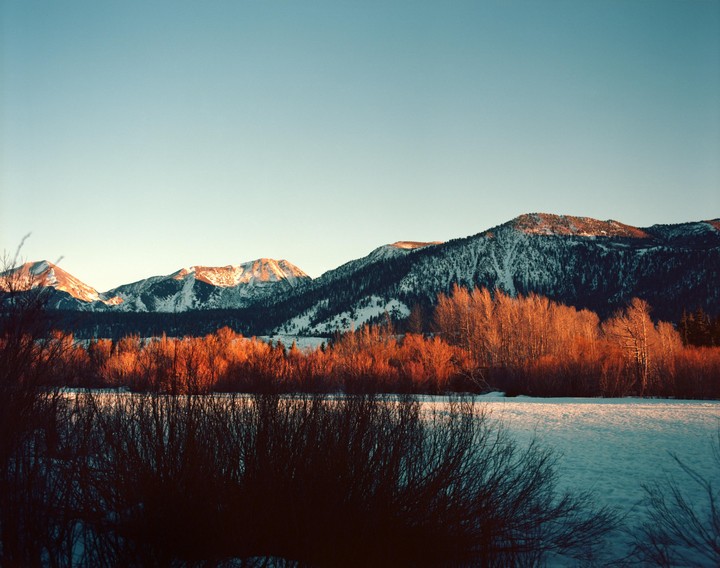 Snow-covered mountains rise above a line of trees with orange foliage, with a snowy field and dark bushes in the foreground.