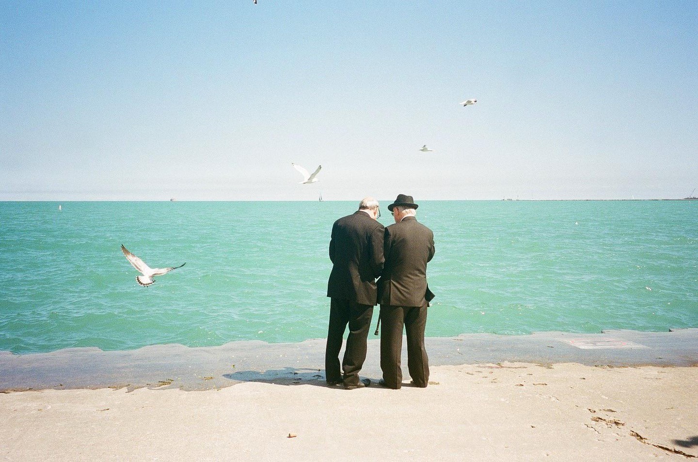 Two men in suits stand on a concrete shore looking out at a turquoise body of water with several seagulls flying overhead.