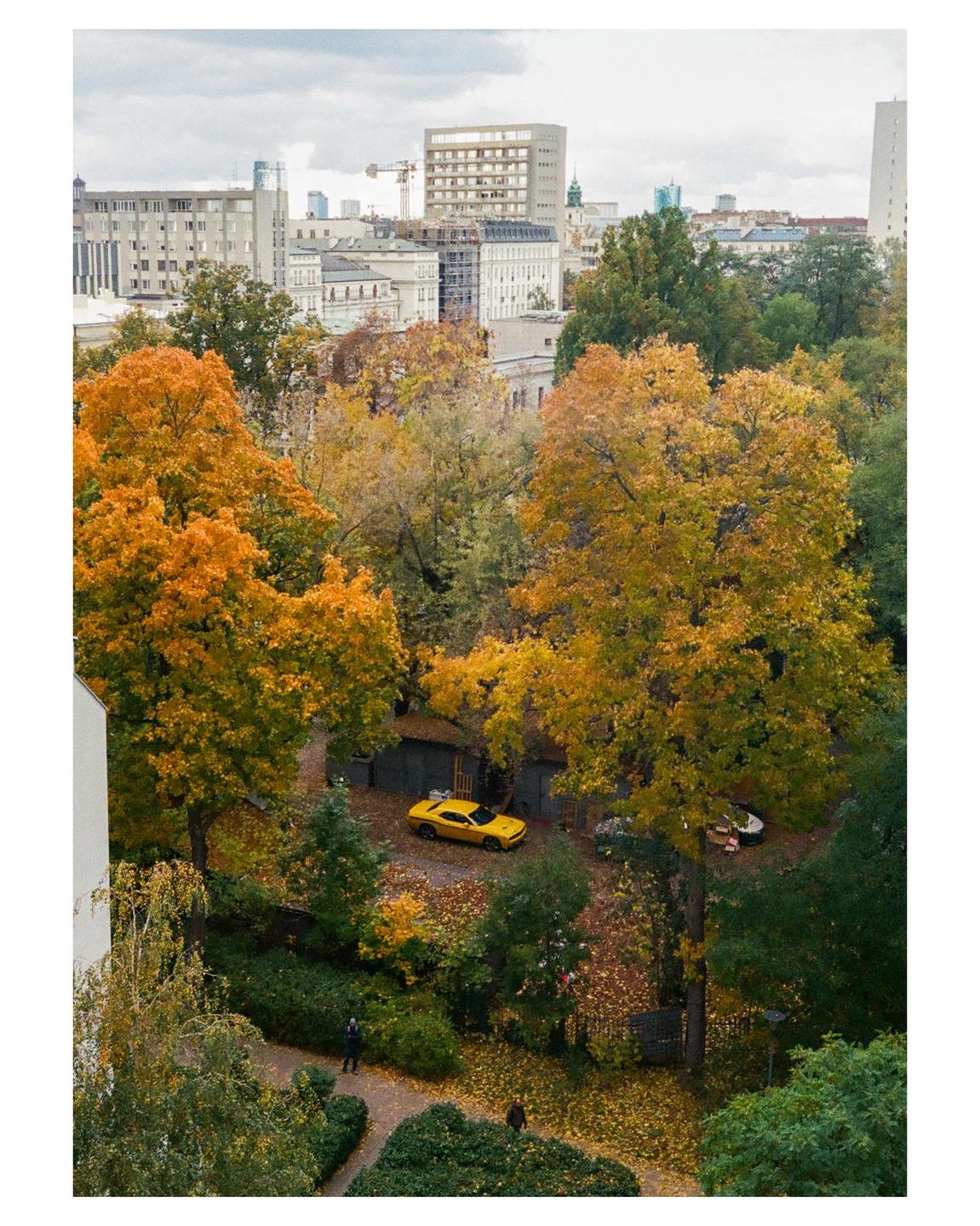 An aerial view shows a yellow car parked among autumn trees with city buildings in the distance.