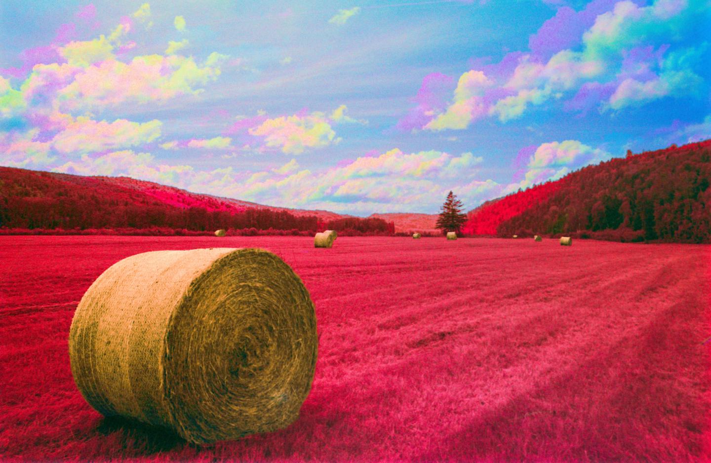 A field with several hay bales is surrounded by hills under a colorful sky.