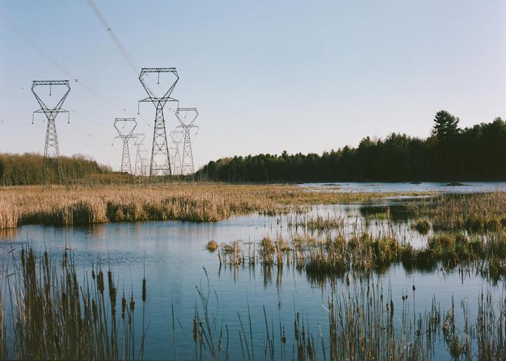 Several power line towers stand in a marshy landscape with a forest in the background.