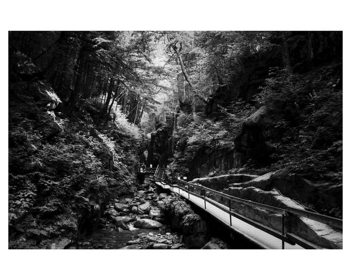 A narrow gorge with a river, a wooden walkway, and dense forest on either side is shown.