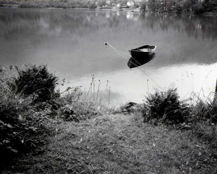 A small boat is moored on a calm lake with trees and houses visible on the far shore.