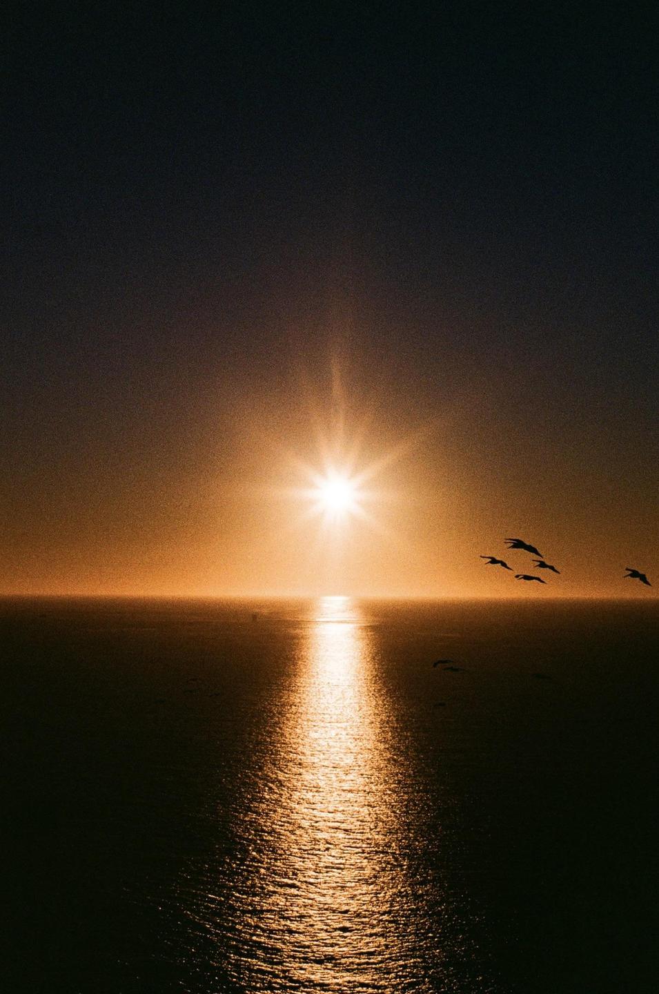 The sun sets over the ocean with a bright sunburst and several birds flying across the sky.