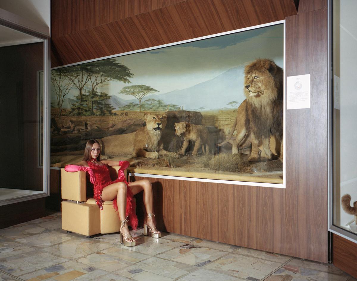 A woman in a red dress and pink gloves sits on a chair in front of a museum diorama of lions.