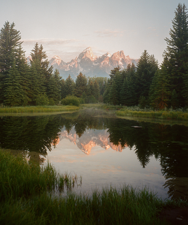 A mountain range with snow-capped peaks is reflected in a still body of water surrounded by pine trees and grass.