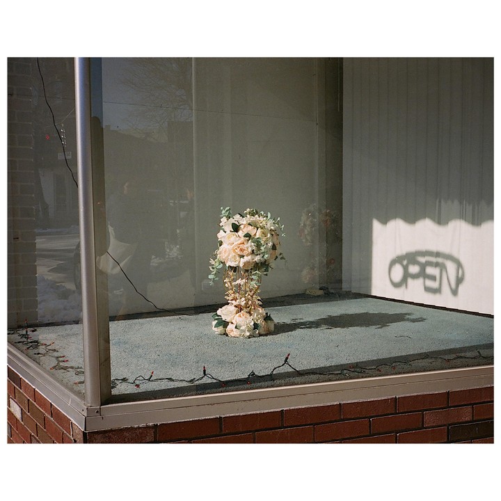 A floral arrangement sits in a storefront window with the shadow of the word "OPEN" cast on the back wall.