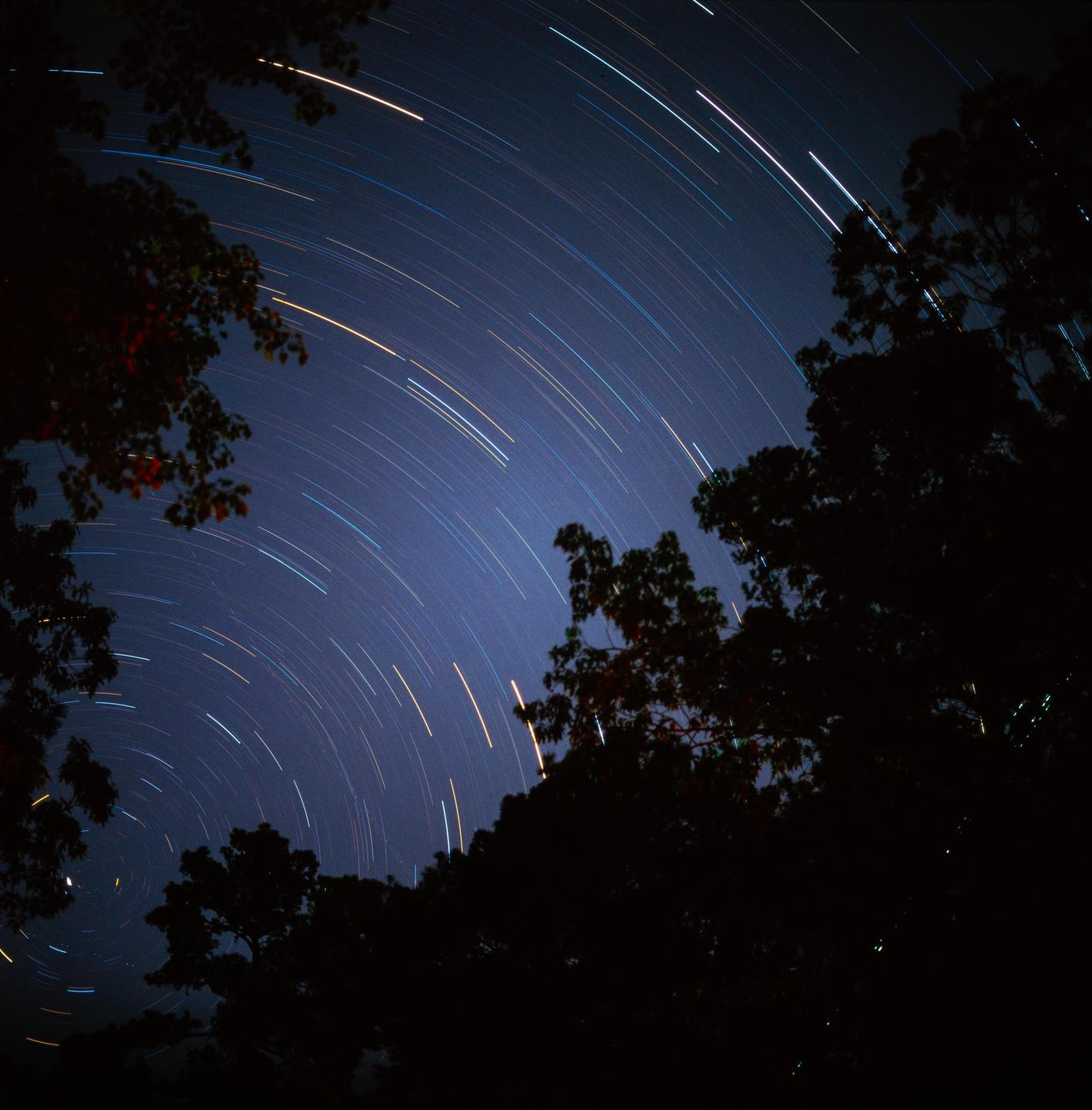 Star trails are visible in the night sky above silhouetted trees.