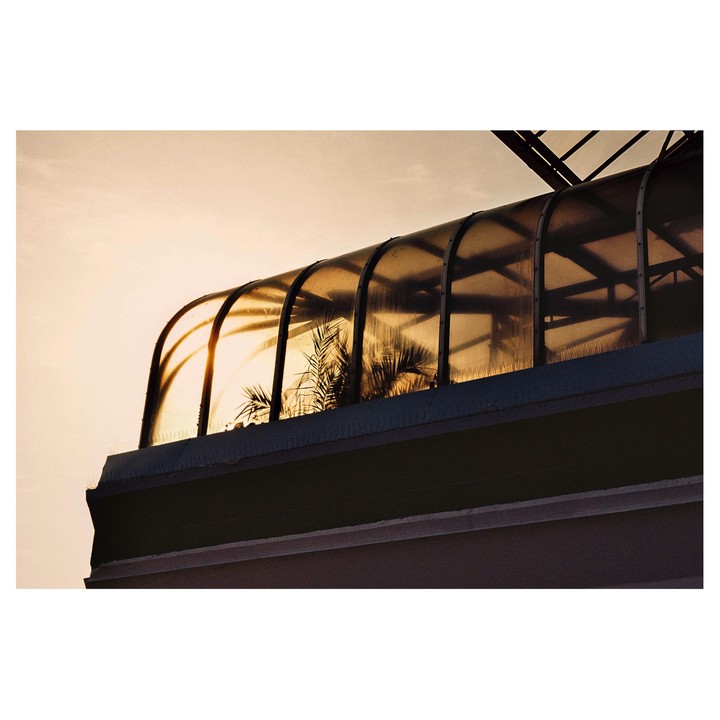 Palm fronds are silhouetted against a bright sky through a curved glass roof.
