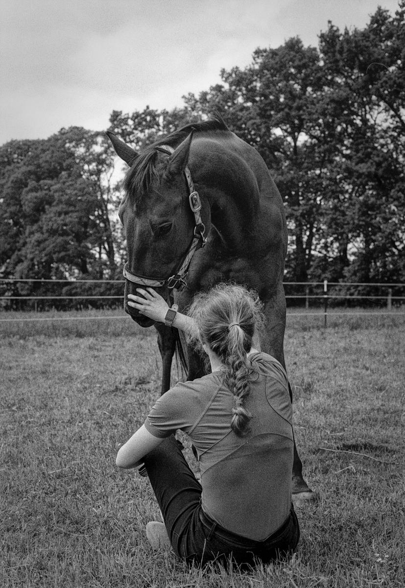 A woman sits on the grass and pets a horse.