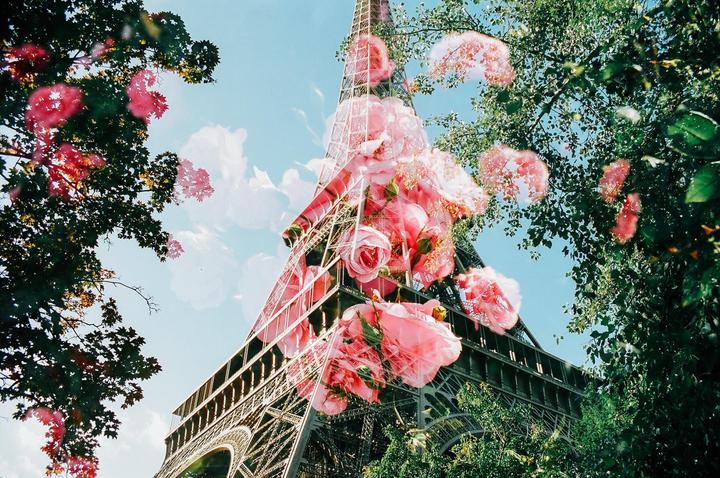 A double exposure shows the Eiffel Tower overlaid with pink roses and surrounded by green foliage against a blue sky.