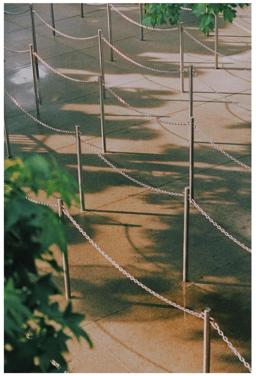 A series of metal posts connected by chains creates a winding path on a paved surface with dappled shadows.