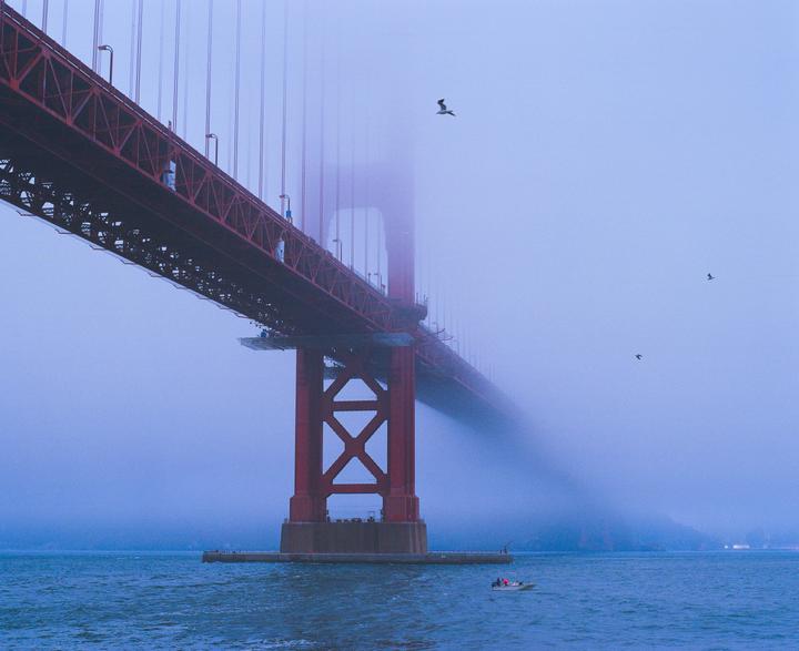 A red bridge extends into a dense fog over water, with a small boat and birds visible.