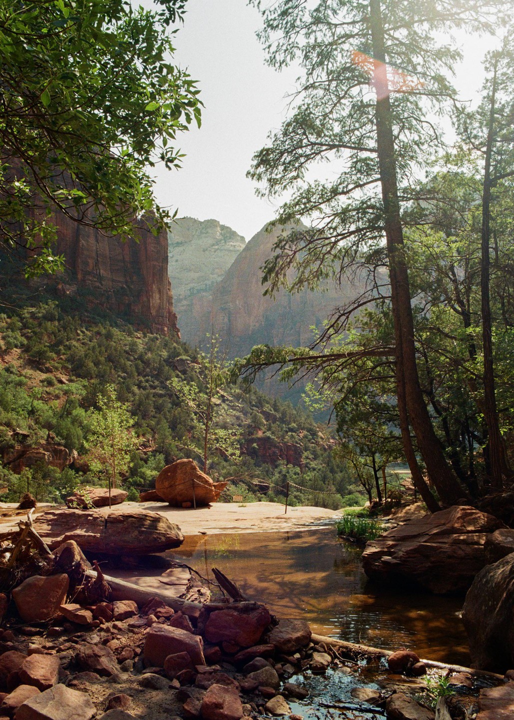 A stream flows over rocks and past trees with large cliffs in the background.