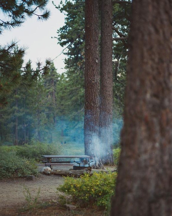 Smoke rises from a campfire next to a picnic table in a forest.