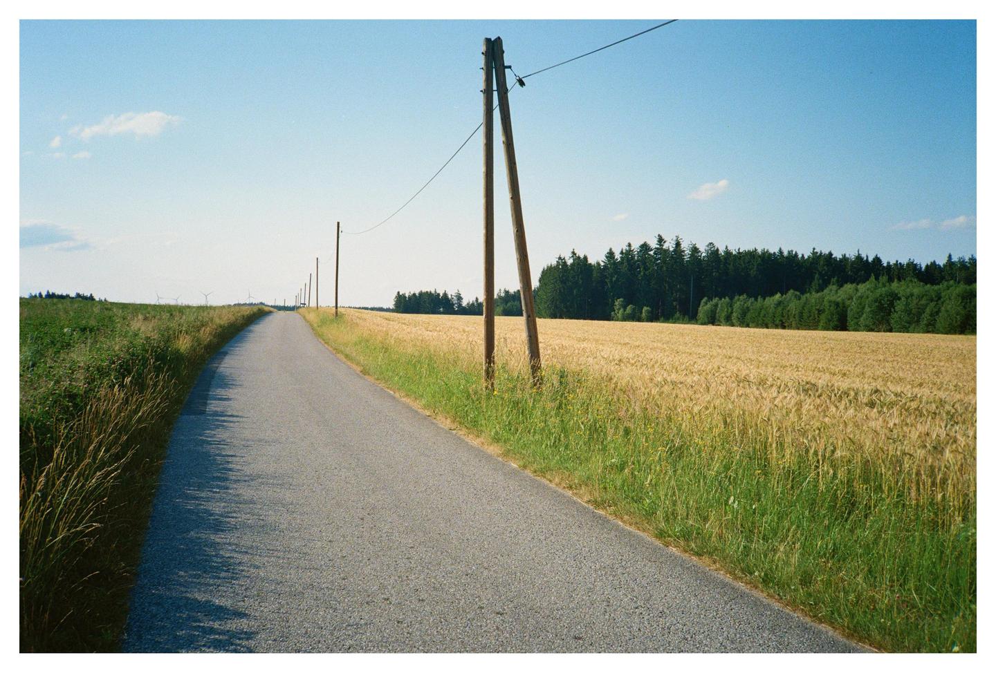 A long, narrow road stretches into the distance, flanked by a golden field of wheat on one side and a green field on the other, with a line of utility poles and a forest in the background.