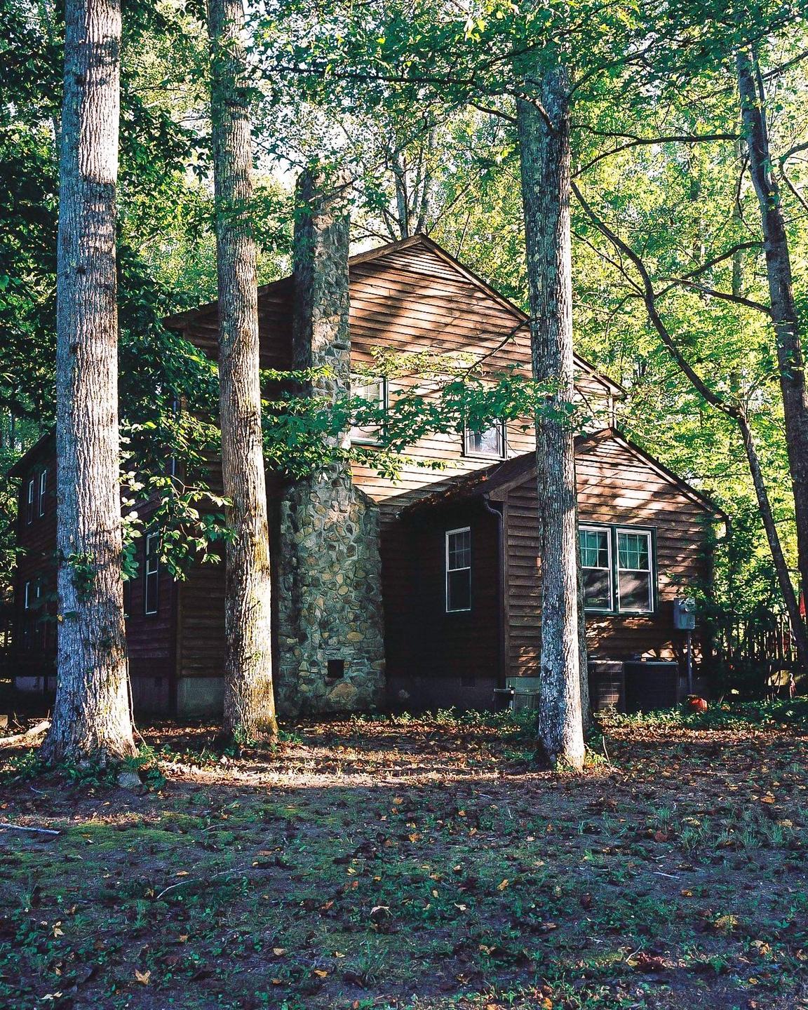 A wooden house with a stone chimney is nestled among tall trees.