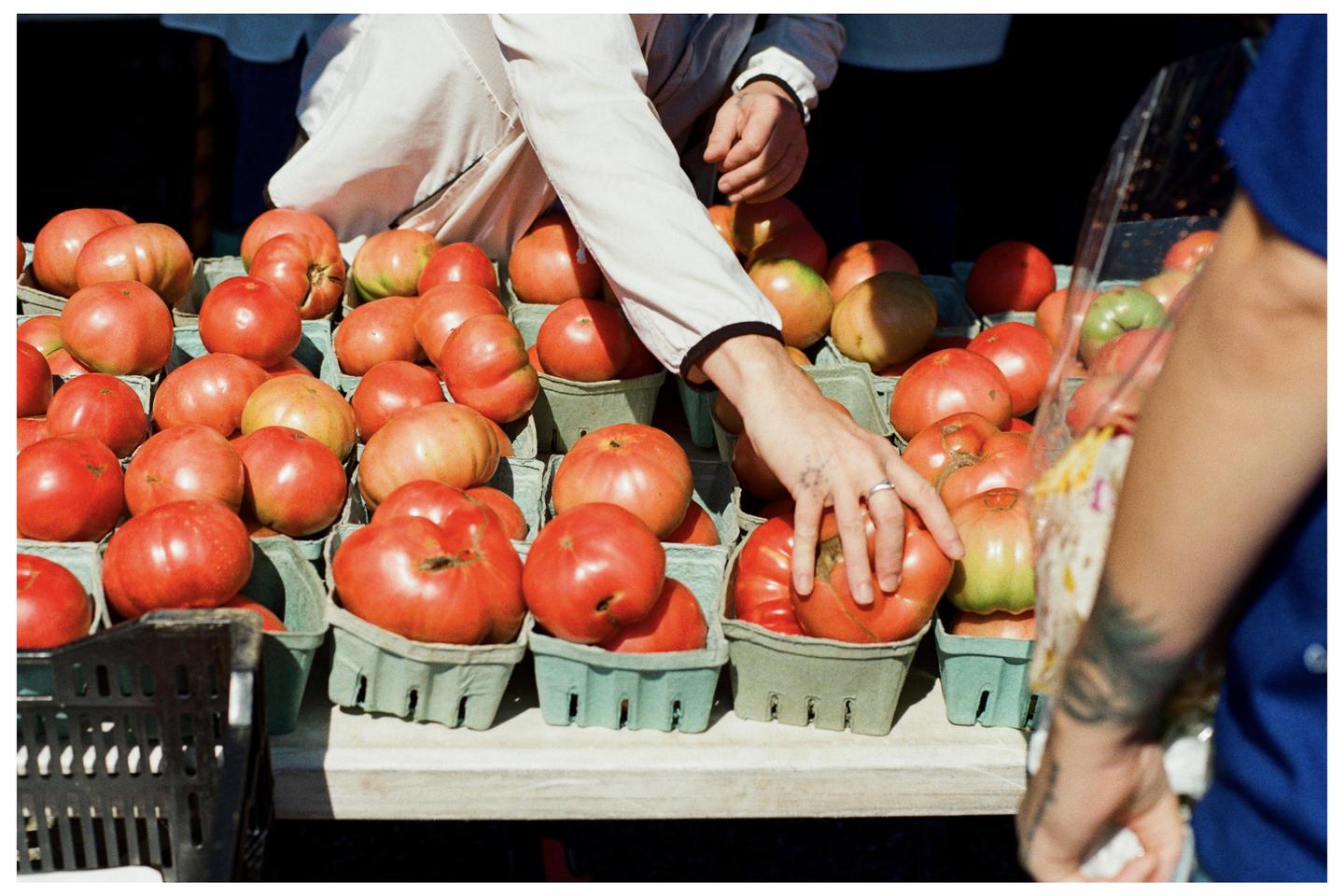 A person's hand reaches for a tomato on a market stall filled with tomatoes in small green cartons.