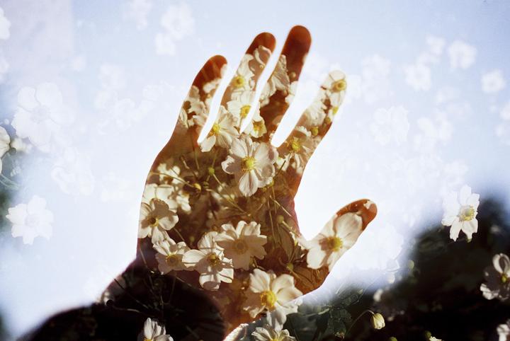 A double exposure shows a hand superimposed with white flowers against a bright sky.