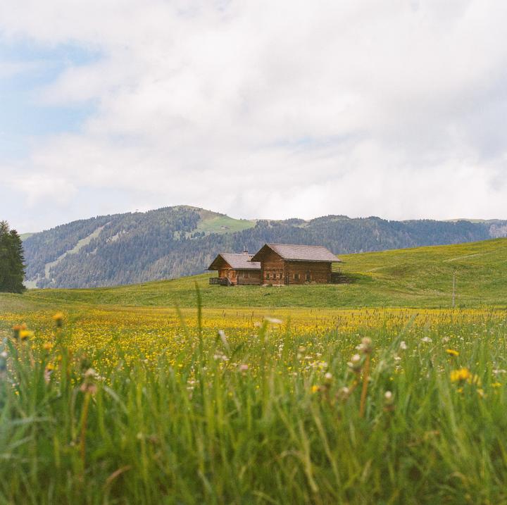 Two wooden cabins sit on a green hillside covered in yellow wildflowers, with a forested mountain in the background under a cloudy sky.
