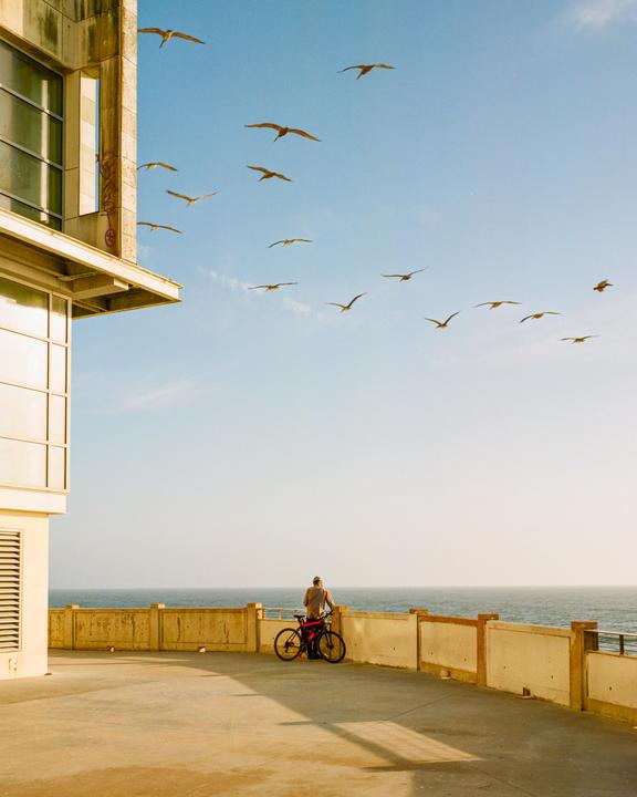 A man with a bicycle stands on a concrete promenade overlooking the ocean, with a flock of birds flying in the sky above.