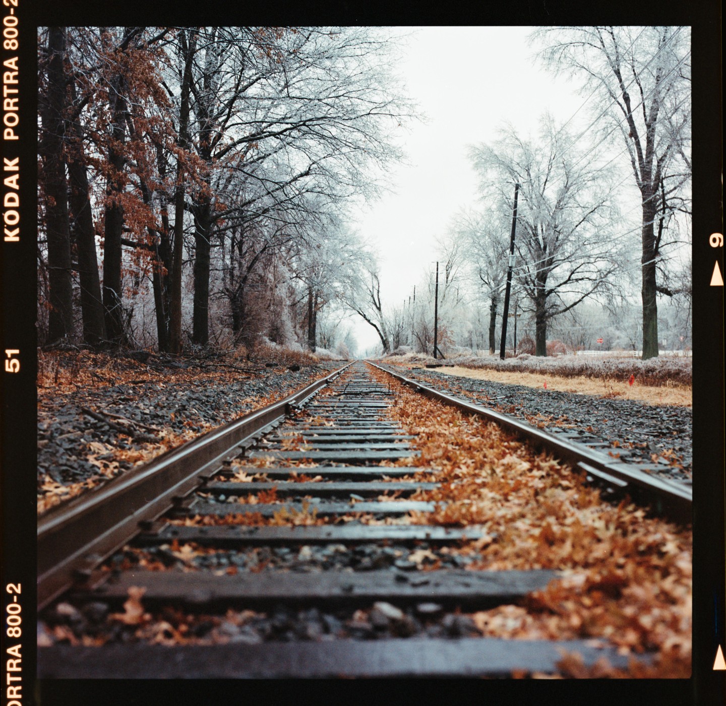A set of railroad tracks stretches into the distance, flanked by trees with autumn leaves on one side and frost-covered trees on the other.