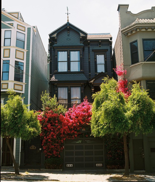 A dark Victorian house with a weathervane on the roof is surrounded by bright pink flowers and green trees.