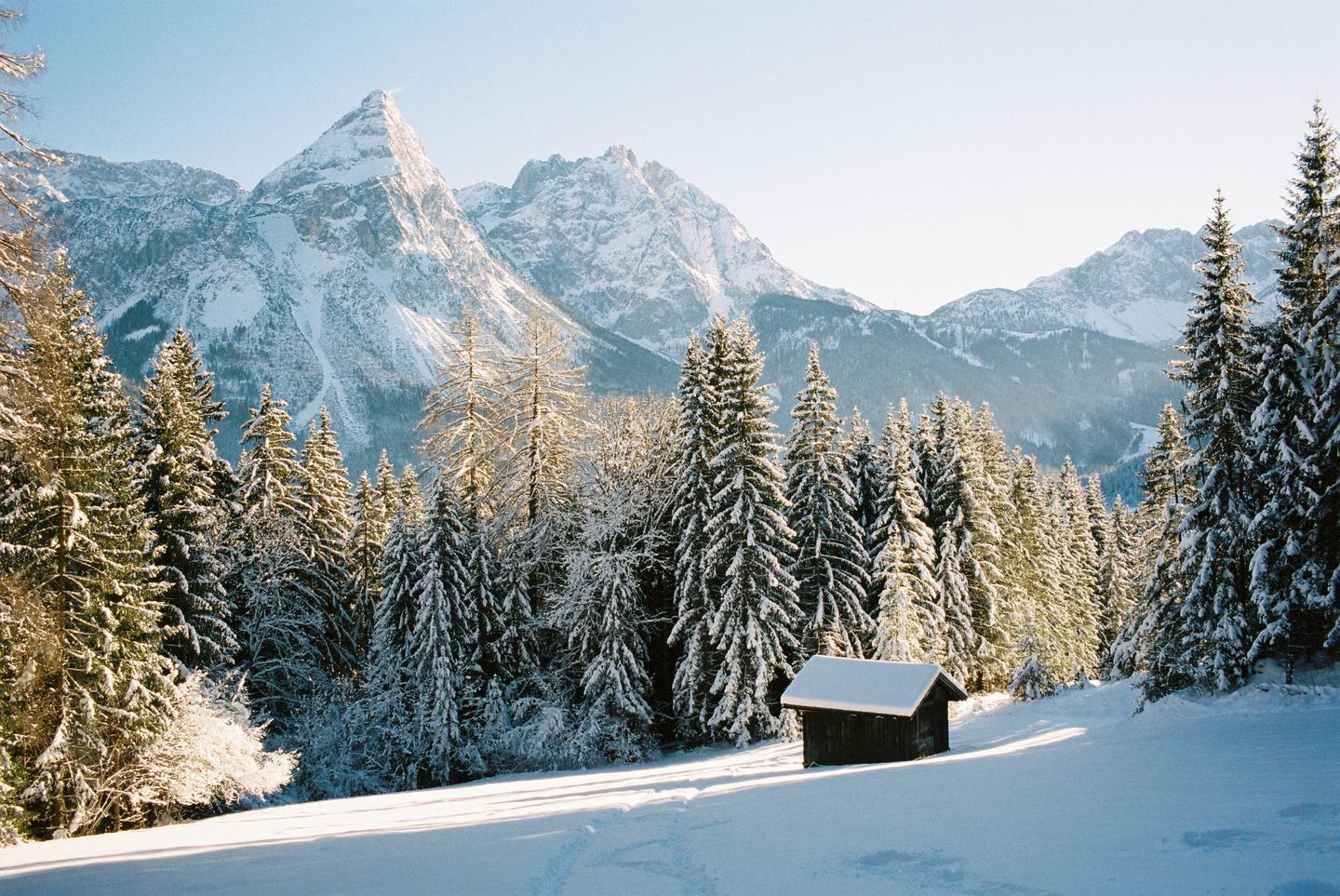 A small wooden hut sits in a snow-covered field surrounded by pine trees and mountains.