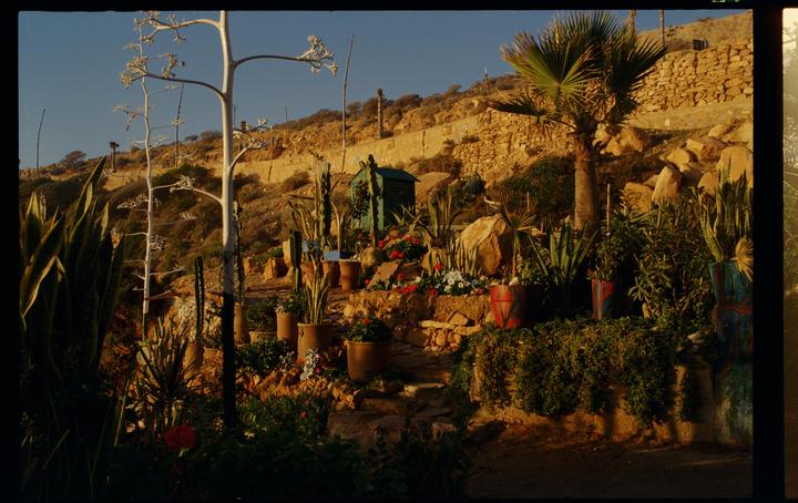 A terraced garden with potted plants and a small green shed is built into a rocky hillside.