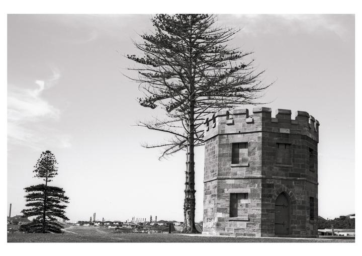 A tall, bare tree stands next to a stone tower with crenellated battlements, with a smaller tree and buildings in the distance.