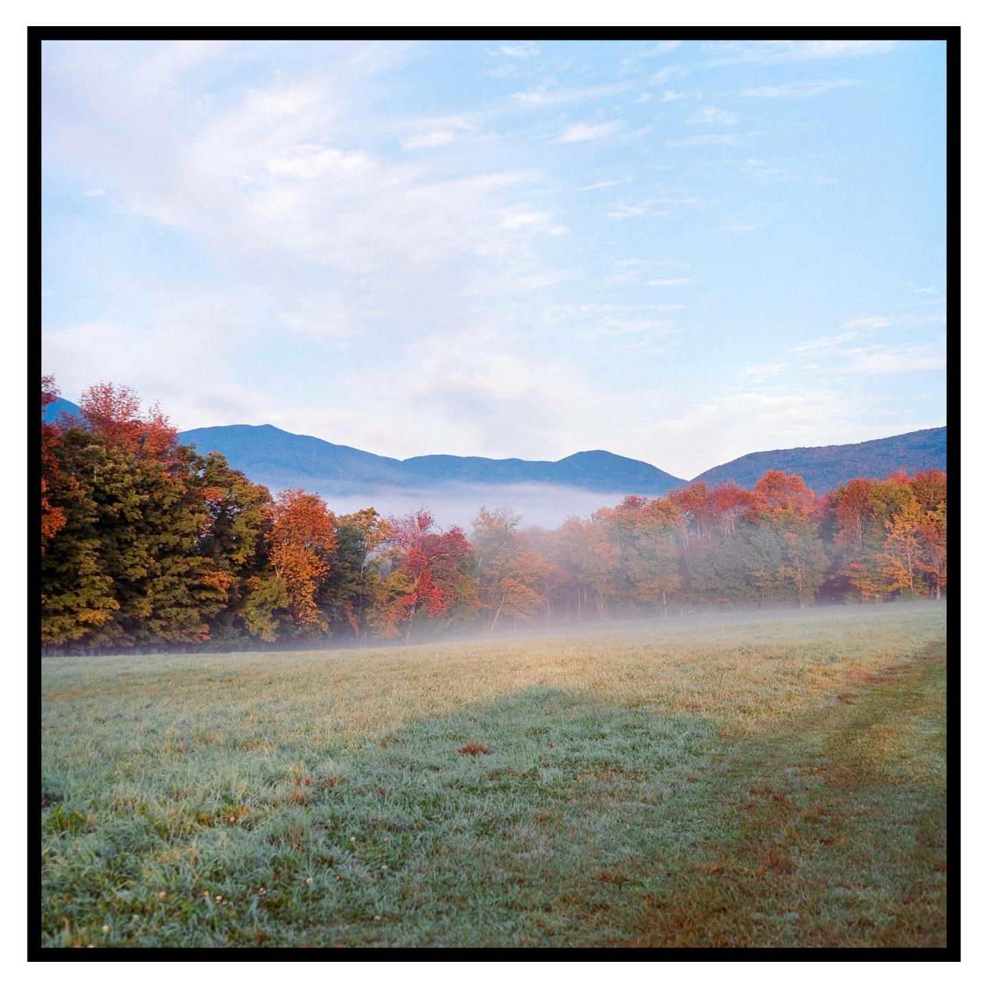 A misty field with autumn trees and mountains in the background is shown under a blue sky.