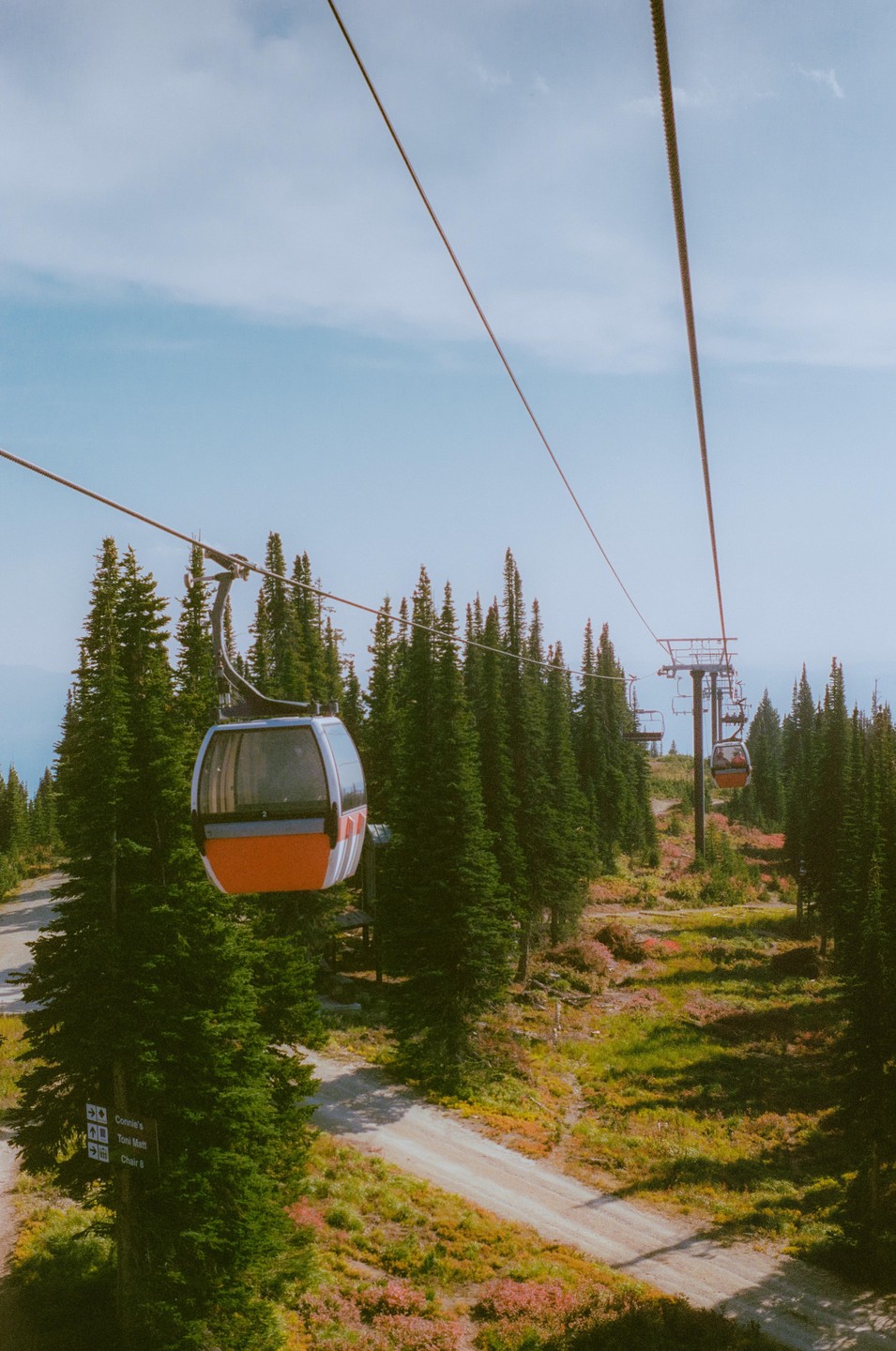 A gondola travels over a dirt road and evergreen trees on a mountain.