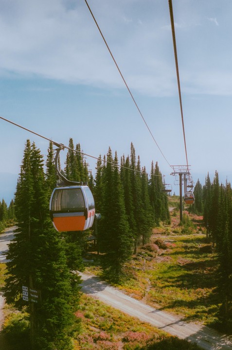 A gondola travels over a dirt road and evergreen trees on a mountain.