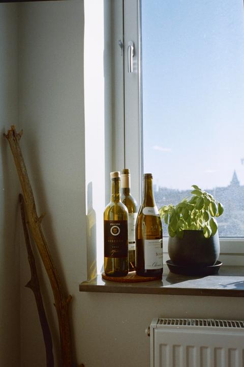 Three bottles of wine and a potted plant sit on a sunlit windowsill next to a large branch.