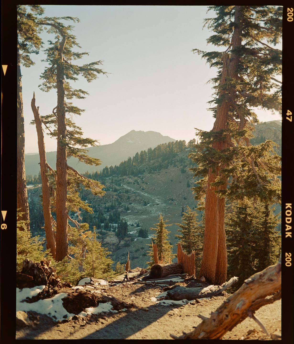 A mountain landscape with tall pine trees in the foreground and patches of snow on the ground.