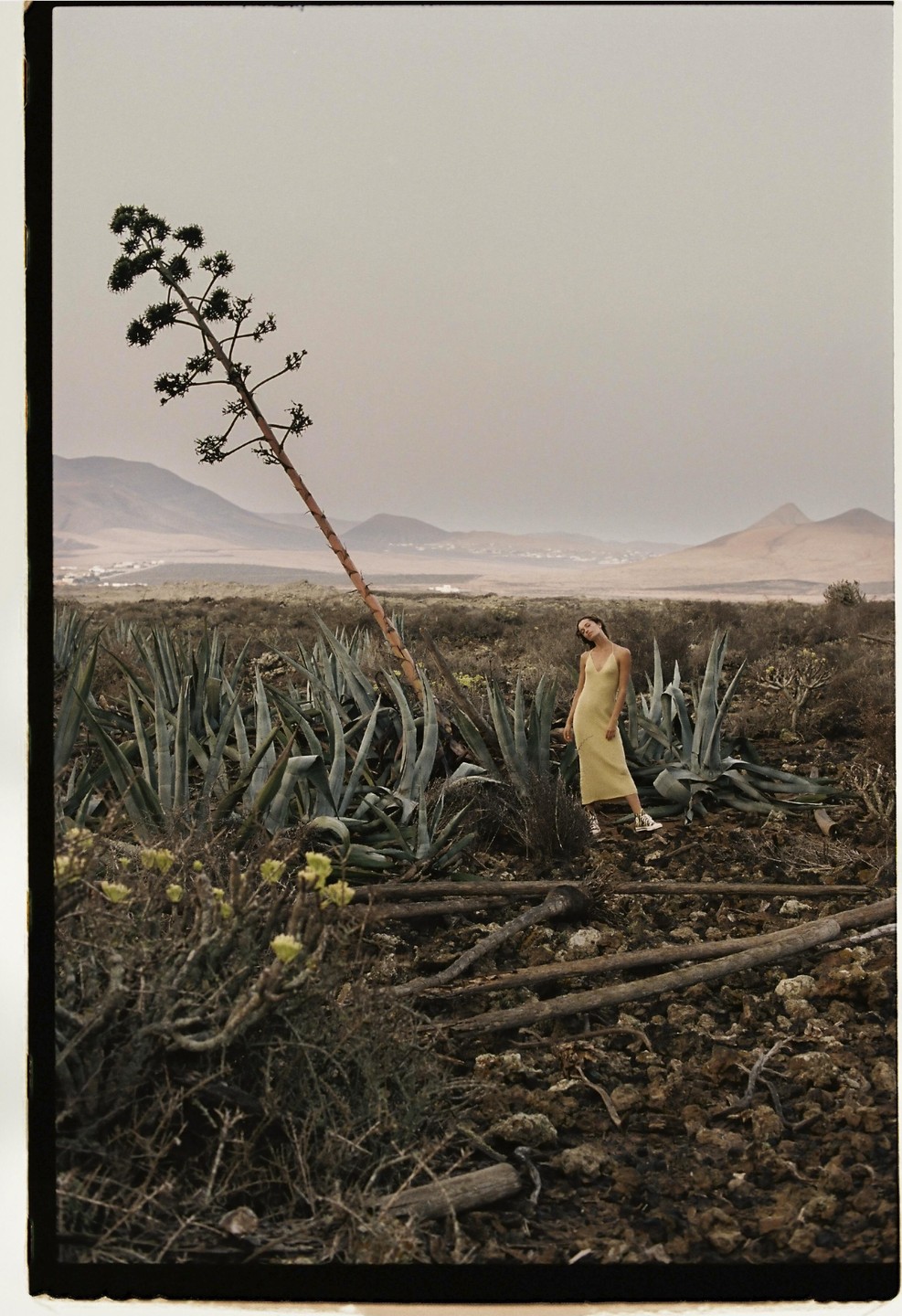 A woman in a yellow dress stands among agave plants and a tall, thin tree in a desert landscape with mountains in the background.