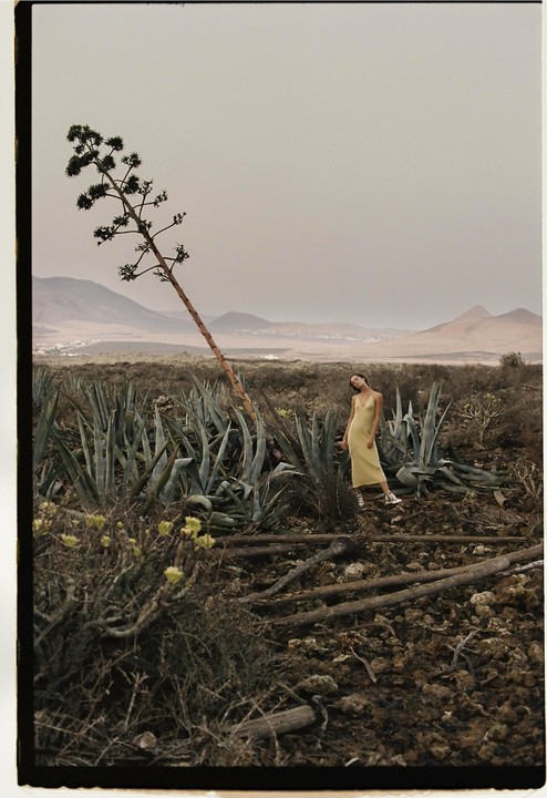 A woman in a yellow dress stands among agave plants and a tall, thin tree in a desert landscape with mountains in the background.