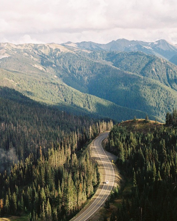A winding road cuts through a dense forest with mountains in the background.