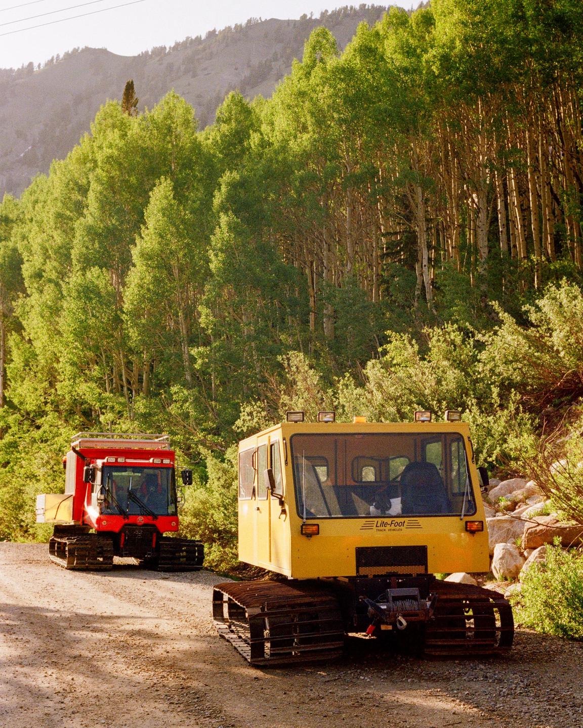 Two snowcats are parked on a dirt road next to a forest of tall, green trees.