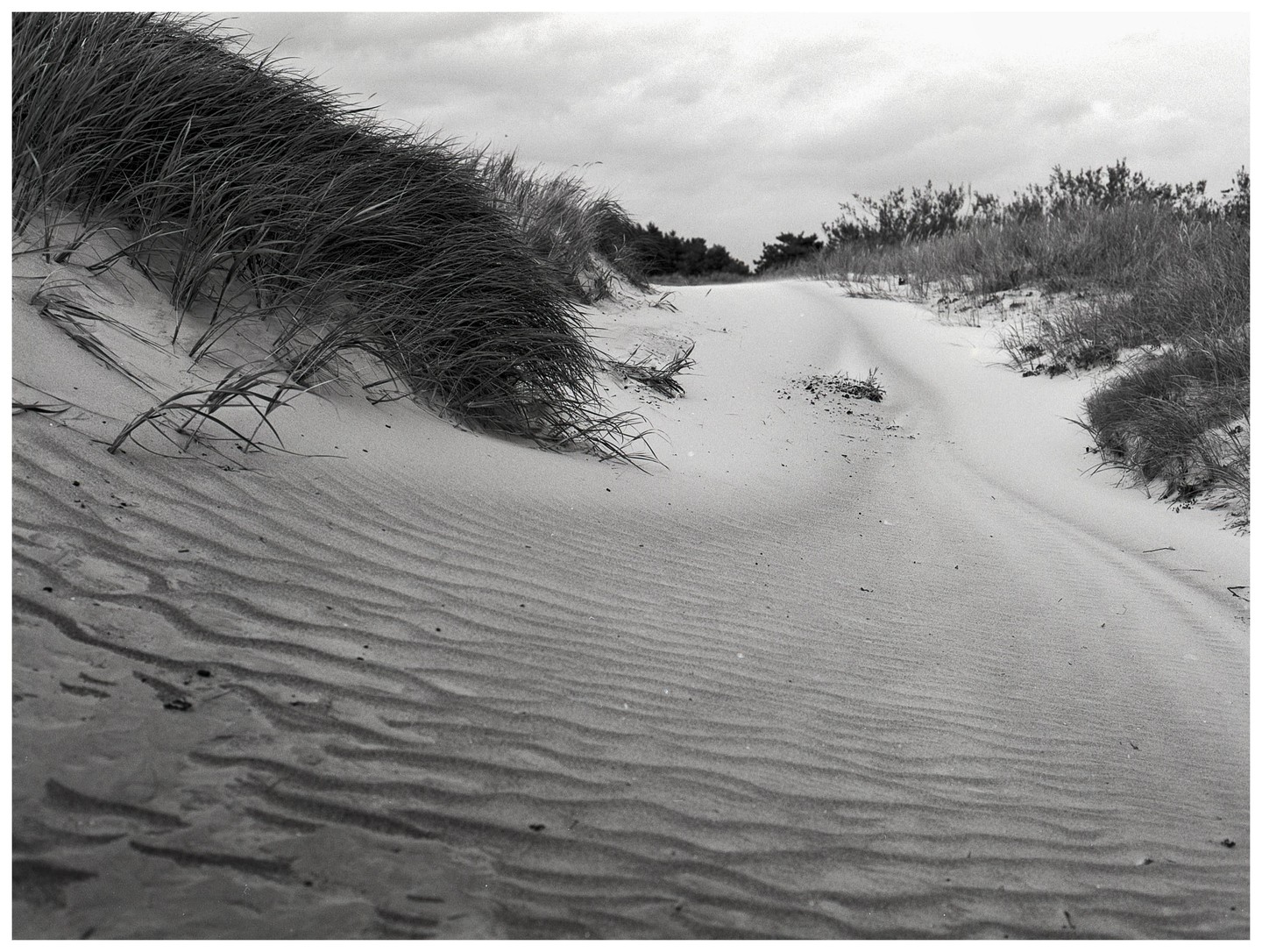 A sandy path winds through dunes covered with tall grass under a cloudy sky.