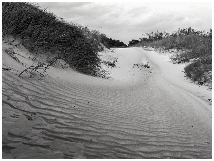 A sandy path winds through dunes covered with tall grass under a cloudy sky.
