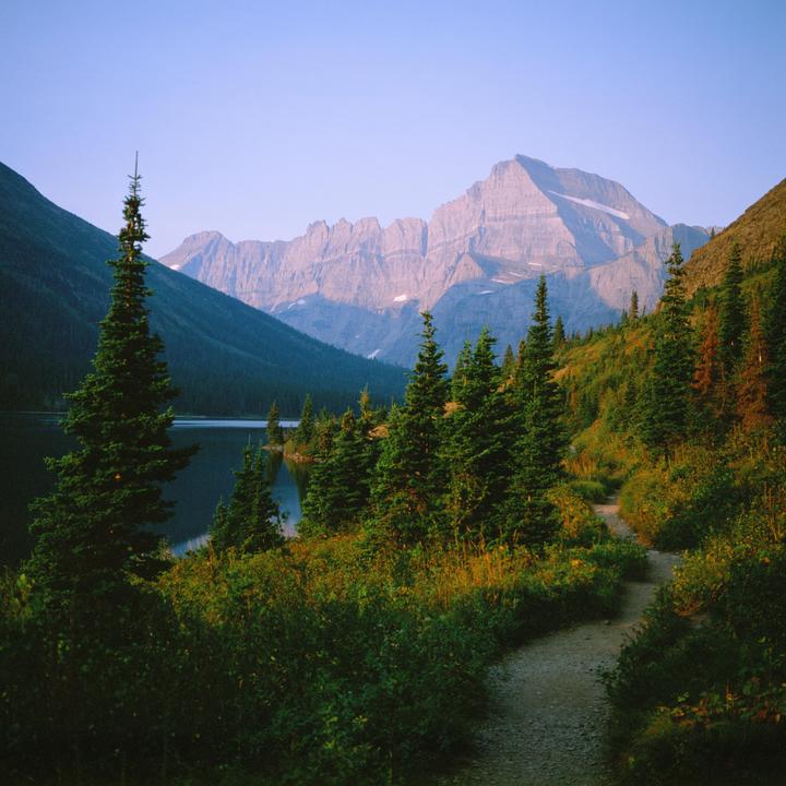 A winding dirt path leads through a forest of pine trees towards a lake with mountains in the background.