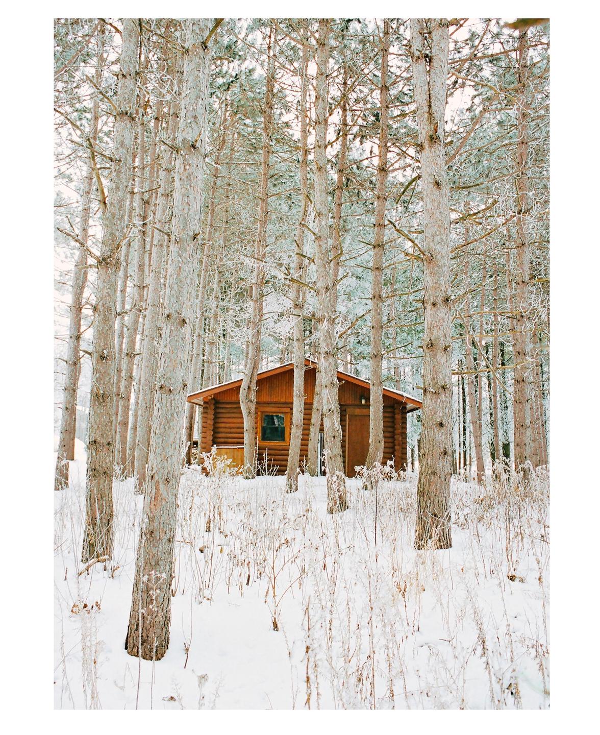 A wooden cabin is nestled among snow-covered pine trees in a winter forest.