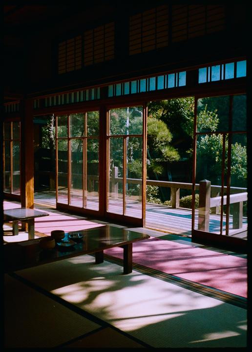 Sunlight streams through large glass doors onto tatami mats and a pink rug in a traditional room with a garden view.
