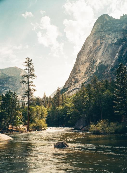 A river flows through a valley with tall trees and mountains under a bright sky.
