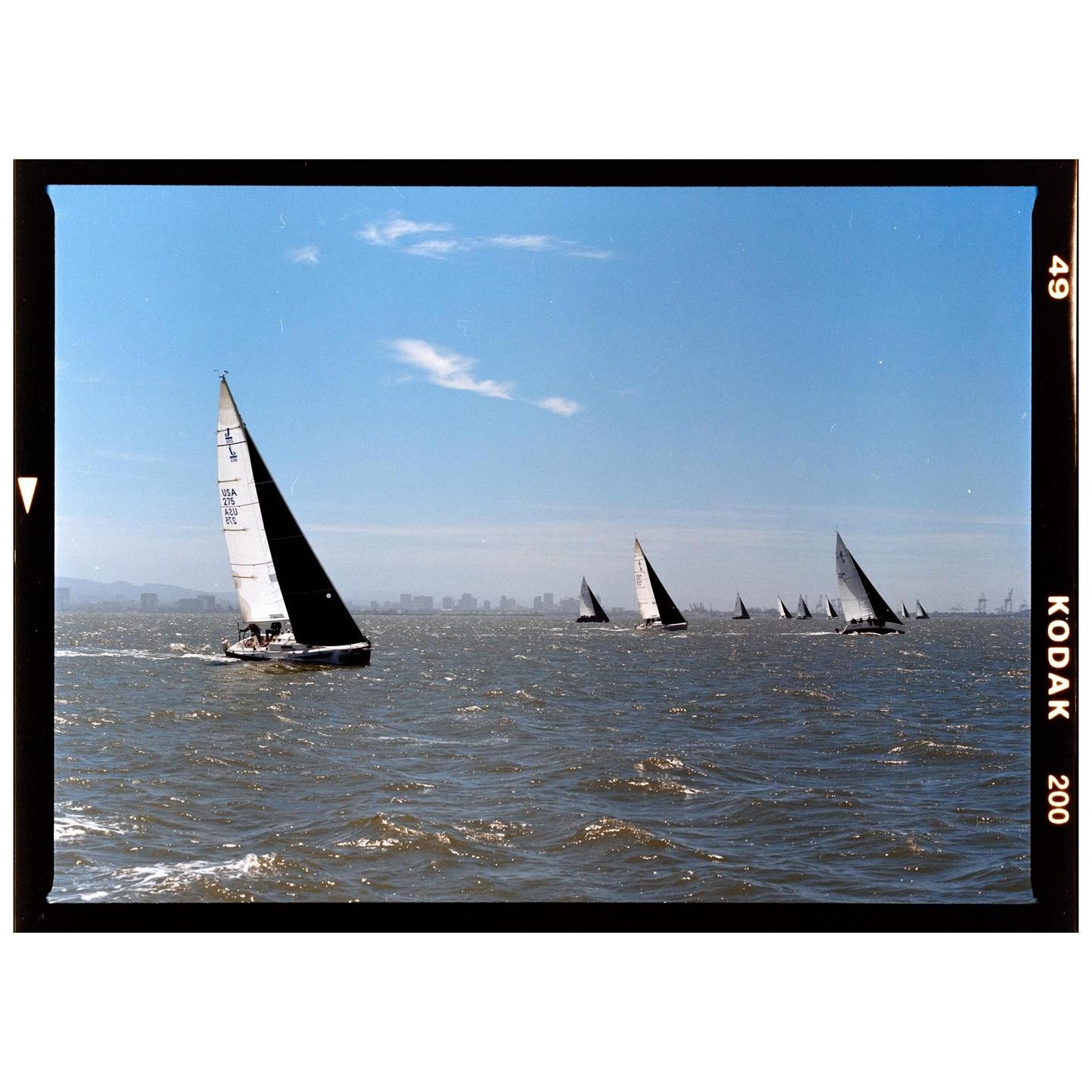 A fleet of sailboats navigates choppy water with a city skyline in the distance under a clear sky.
