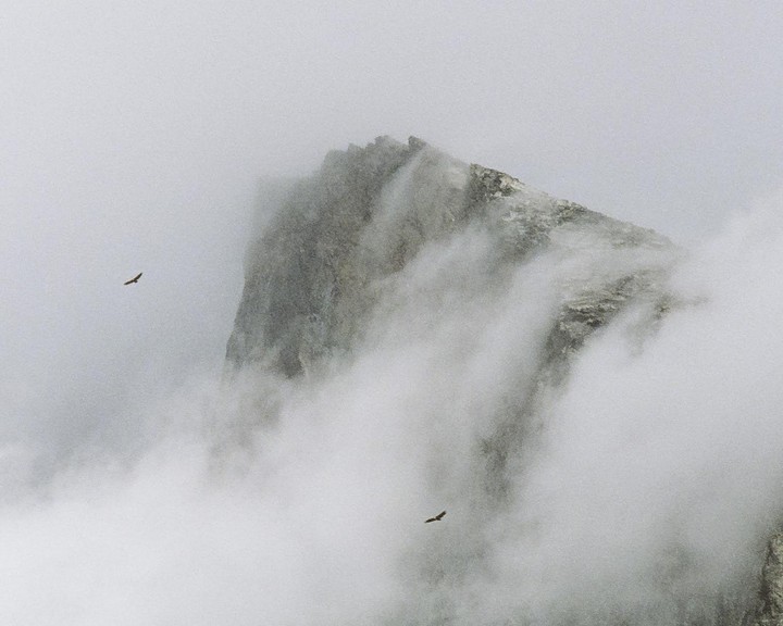 Two birds fly through a foggy mountain landscape.