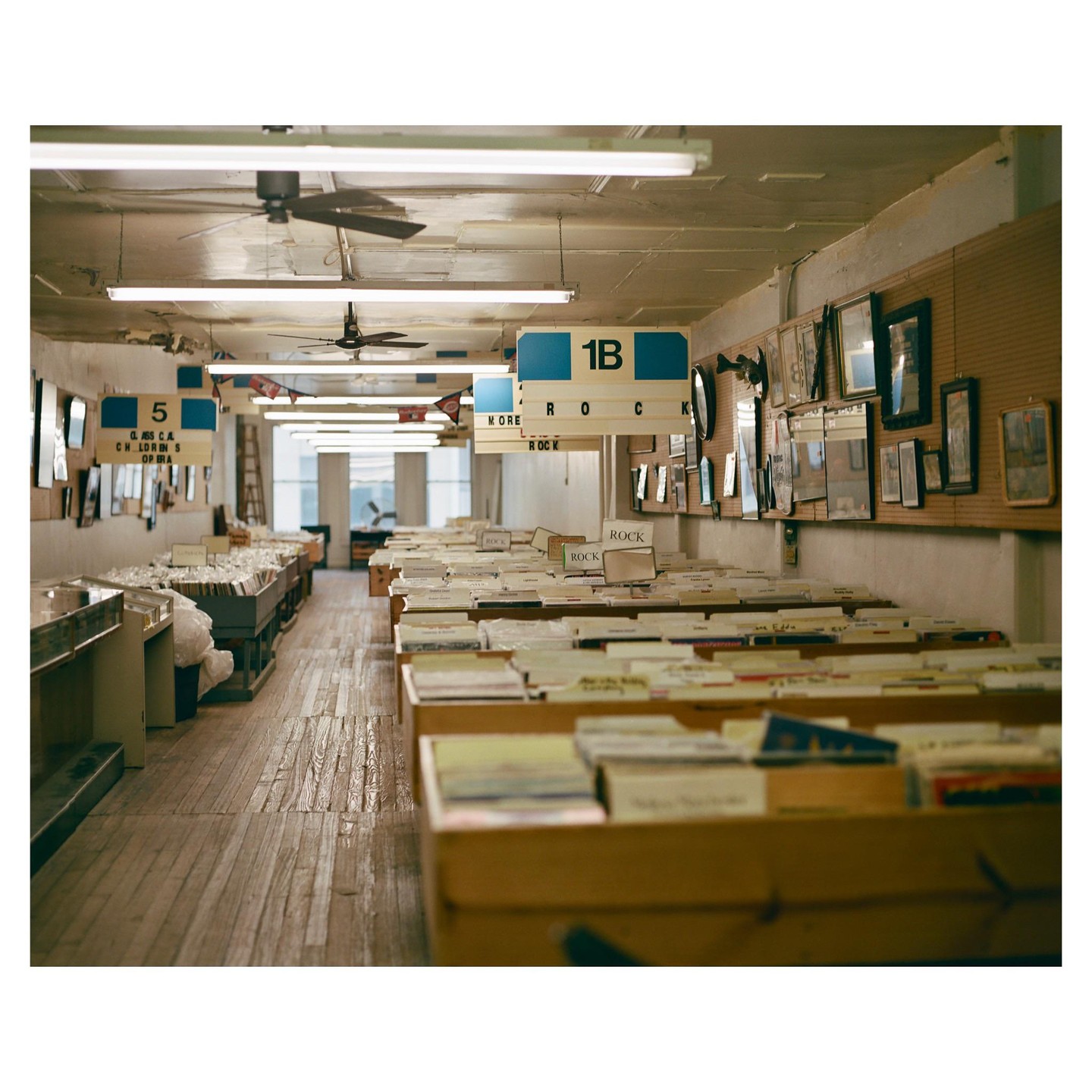 A long room with wooden floors and fluorescent lights is filled with rows of records in wooden bins.