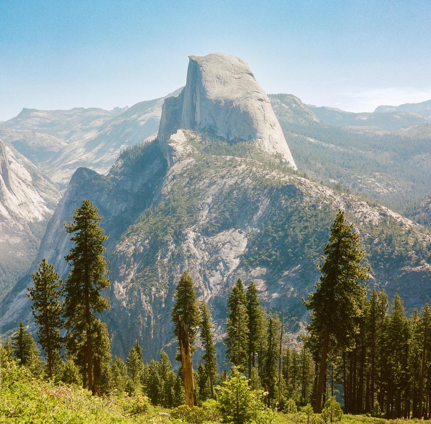 A large granite dome rises above a forest of pine trees and a mountain range.